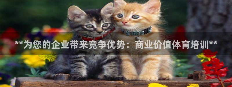 富联娱乐官方网站入口