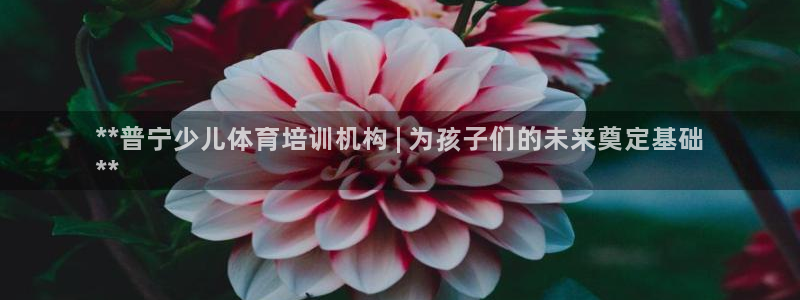 富联娱乐是什么时候开的股票：**普宁少儿体育培训机构