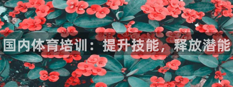 香港富联国际集团