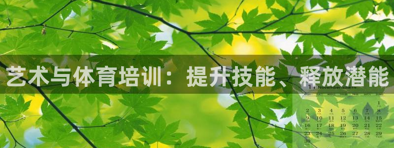 股票富联申购今天多少钱：艺术与体育培训：提升技能、释