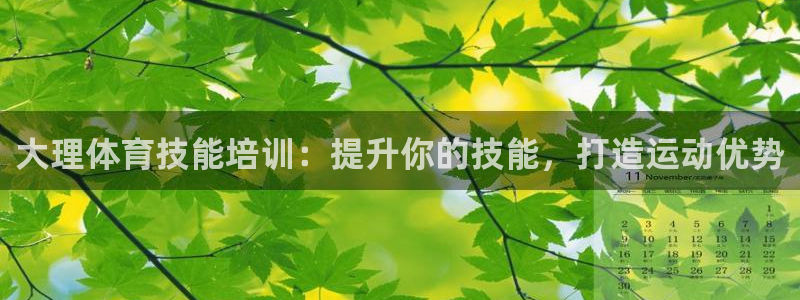 富联平台官网登录入口下载：大理体育技能培训：提升你的