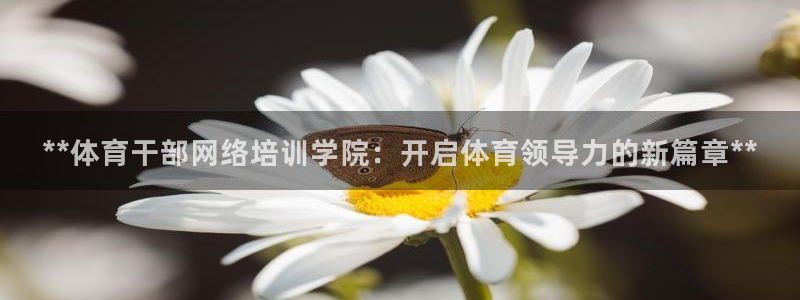 富联娱乐平台能挣到钱吗：**体育干部网络培训学院：开