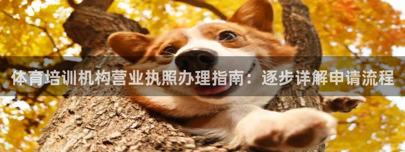 富联娱乐是什么时候开的股票：体育培训机构营业执照办理