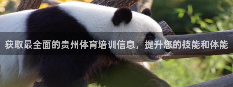 富联娱乐官方网站下载安卓：获取最全面的贵州体育培训信