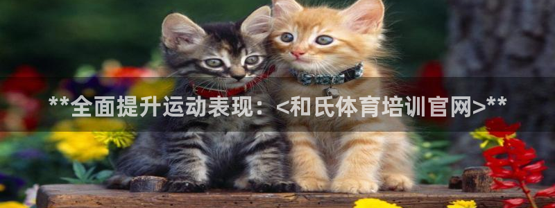 富联申购中签号：**全面提升运动表现：<和氏体育培训