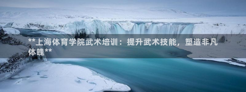 富联官方网站下载：**上海体育学院武术培训：提升武术