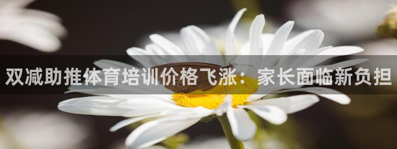 富联官方网站首页入口下载：双减助推体育培训价格飞涨：