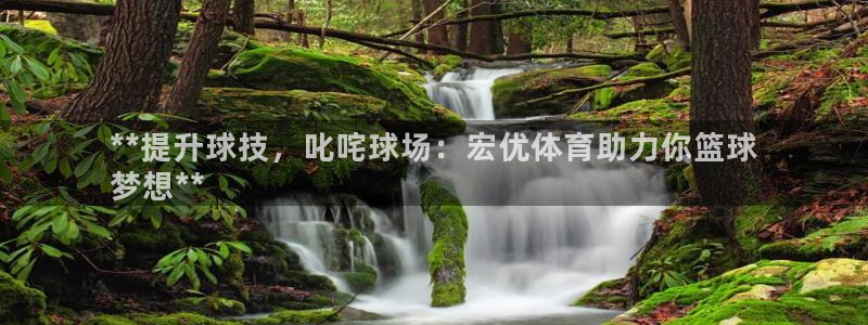 富联平台七7O777：**提升球技，叱咤球场：宏优体