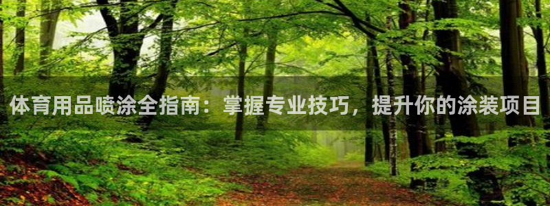 富联平台用户登陆：体育用品喷涂全指南：掌握专业技巧，