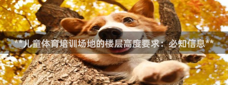 富联娱乐木 411O31 娱乐：**儿童体育培训场地