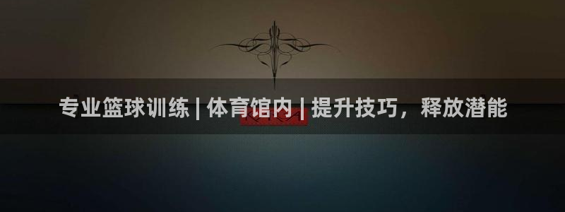 富联官方网站入口：专业篮球训练 | 体育馆内 | 提