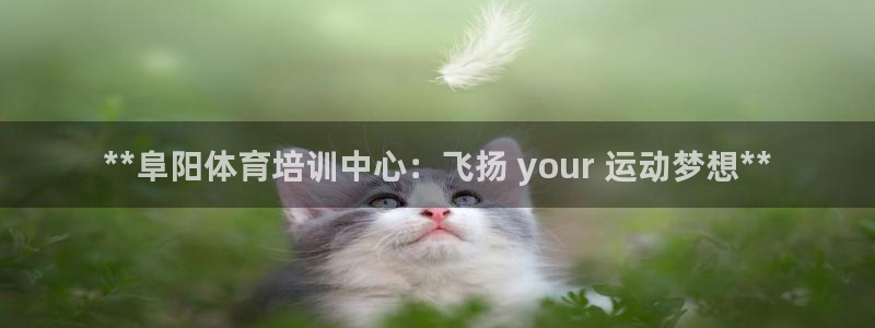 富联通讯招聘：**阜阳体育培训中心：飞扬 your 