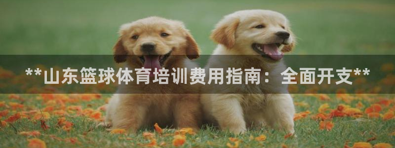 富联平台商 5O6917 平台：**山东篮球体育培训费用指南