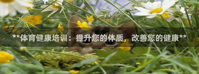富联平台升 5O6917 平台：**体育健康培训：提