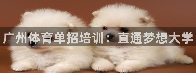 富联娱乐在线注册链接是什么：广州体育单招培训：直通梦想大学