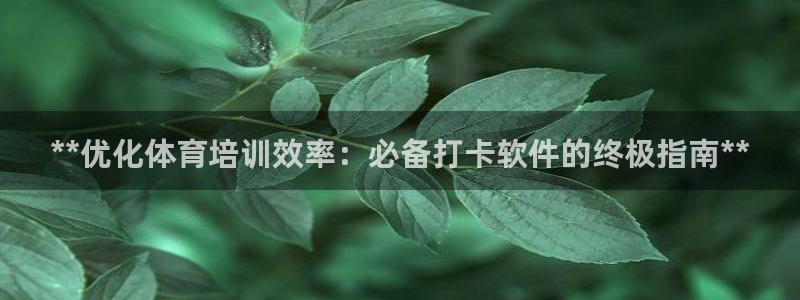 富联娱乐察7O777：**优化体育培训效率：必备打卡软件的终