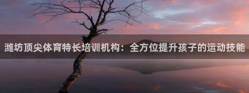 富联娱乐股东名单：潍坊顶尖体育特长培训机构：全方位提
