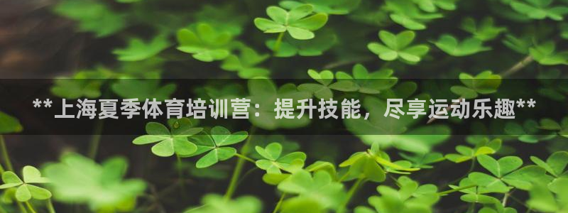 富联官方网站入口查询：**上海夏季体育培训营：提升技