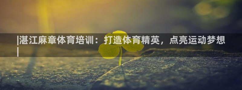 富联是什么板块：|湛江麻章体育培训：打造体育精英，点