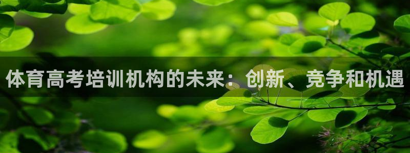 富联娱乐：体育高考培训机构的未来：创新、竞争和机遇