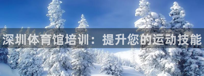 富联平台主管代理：深圳体育馆培训：提升您的运动技能