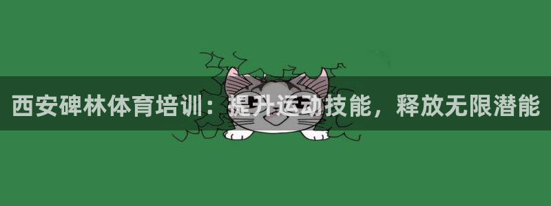 富联娱乐爱7O777：西安碑林体育培训：提升运动技能，释放无