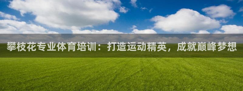 富联娱乐平台能挣到钱吗安全吗：攀枝花专业体育培训：打造运动精