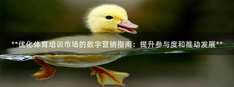富联平台先选 58534I 富联：**优化体育培训市场的数字
