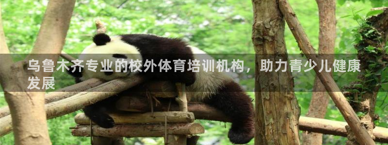 富联娱乐官方网站入口下载：乌鲁木齐专业的校外体育培训