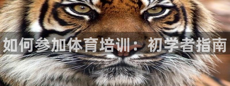 富联平台容7O777：如何参加体育培训：初学者指南