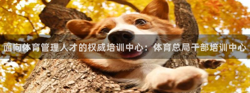 富联娱乐平台开户要钱吗