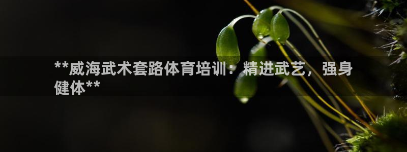 富联娱乐心 585341 娱乐：**威海武术套路体育