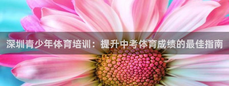 富联平台线路检测中心官网：深圳青少年体育培训：提升中