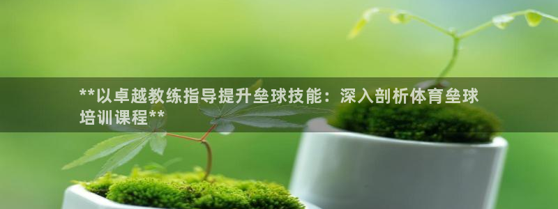 富联娱乐向 5o69I7：**以卓越教练指导提升垒球