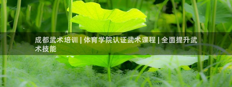 富联娱乐正规吗可信吗：成都武术培训 | 体育学院认证