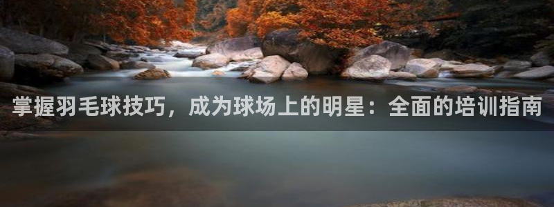 富联是什么股票板块：掌握羽毛球技巧，成为球场上的明星