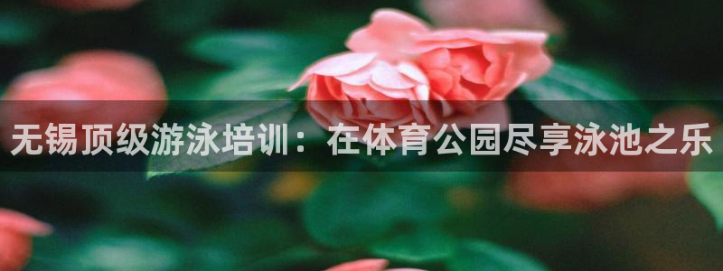 富联芯科技：无锡顶级游泳培训：在体育公园尽享泳池之乐