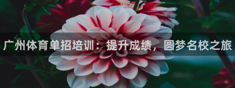 富联娱乐客户端app下载服务：广州体育单招培训：提升