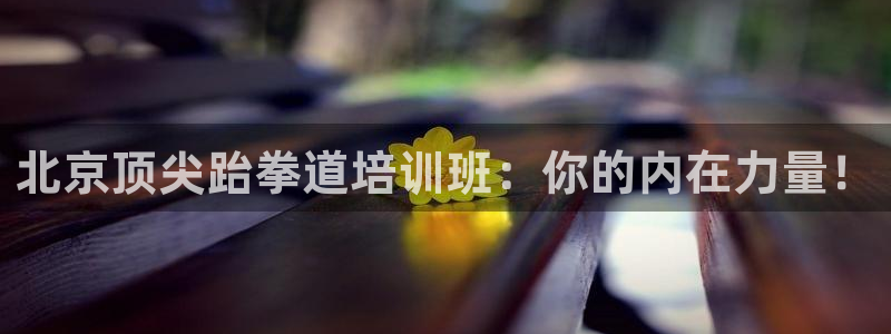富联平台是什么平台：北京顶尖跆拳道培训班：你的内在力