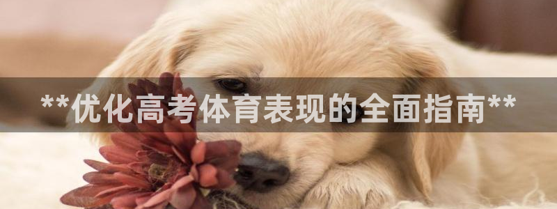 富联平台代理注册条件：**优化高考体育表现的全面指南