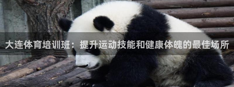 富联娱乐价7O777：大连体育培训班：提升运动技能和