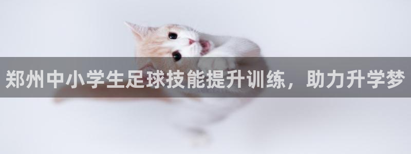 富联平台结7O777：郑州中小学生足球技能提升训练，