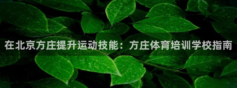富联官网登录：在北京方庄提升运动技能：方庄体育培训学