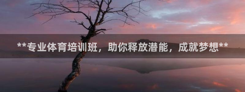 中国富联股票行情：**专业体育培训班，助你释放潜能，